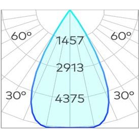 Ion R Large Downlight COB 22w