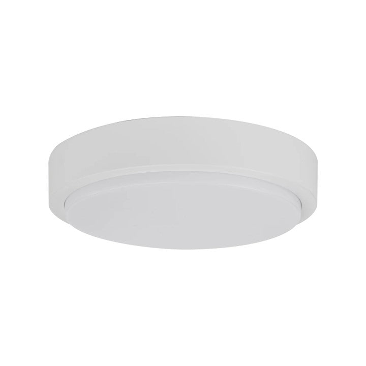 IFL-36053T-WHT