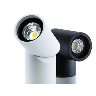 Axis Surface Mounted Downlight