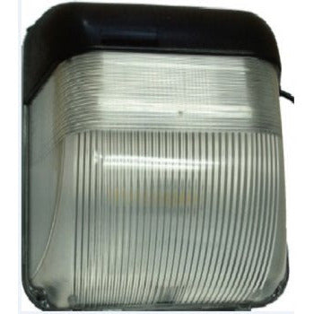 INDUSTRIE 18W COB WALL PACK