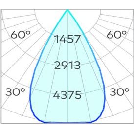 Ion R XL Downlight COB 43w