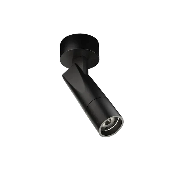 Indoor - Ceiling Mounted