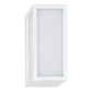 IFL-3669T-WHT