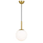 IFL-BALLY-PE-08-AGOM